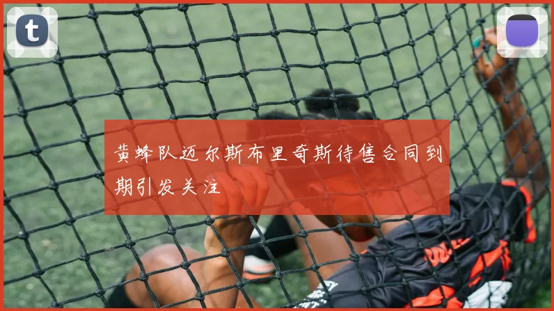 黄蜂队迈尔斯布里奇斯待售合同到期引发关注