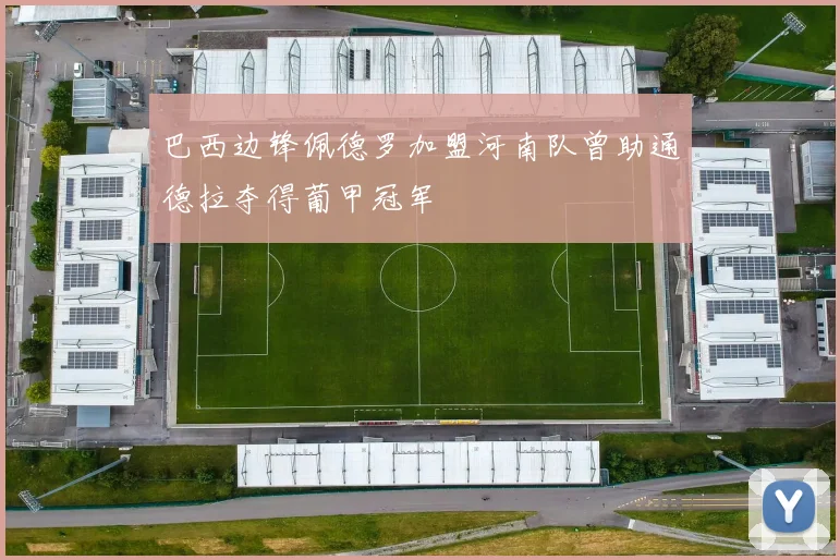 巴西边锋佩德罗加盟河南队曾助通德拉夺得葡甲冠军