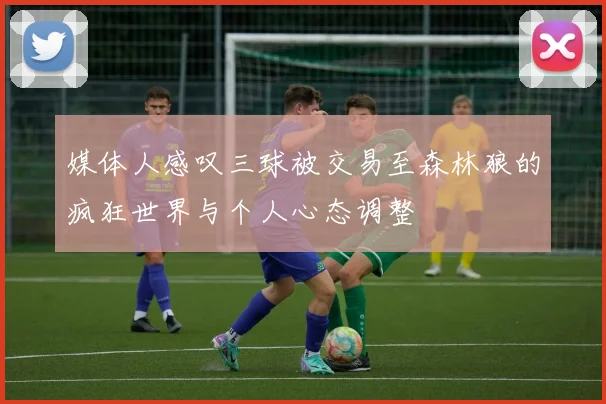 媒体人感叹三球被交易至森林狼的疯狂世界与个人心态调整